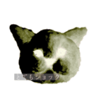 フワフワねこちゃん（個別スタンプ：7）