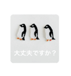 日常で使えるアップリケのスタンプ（個別スタンプ：8）