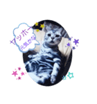にゃんいっぱい（個別スタンプ：2）