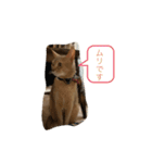 アビにゃんの日常（個別スタンプ：3）