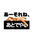 イヌンプ（個別スタンプ：9）