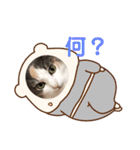 ももの生活5（個別スタンプ：2）