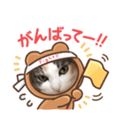 ももの生活5（個別スタンプ：11）