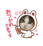 ももの生活5（個別スタンプ：12）