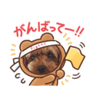 ころたんスタンプ4（個別スタンプ：2）