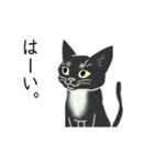 動く▶▶ねこ有限公社（個別スタンプ：3）