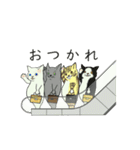 動く▶▶ねこ有限公社（個別スタンプ：9）