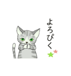 動く▶▶ねこ有限公社（個別スタンプ：11）