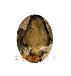 F i s h i n g スタンプ（個別スタンプ：8）
