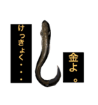 F i s h i n g スタンプ（個別スタンプ：11）