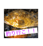 F i s h i n g スタンプ（個別スタンプ：14）