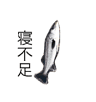 F i s h i n g スタンプ（個別スタンプ：15）