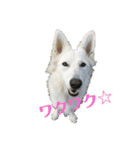 meiんちスタンプ（個別スタンプ：1）