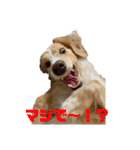 meiんちスタンプ（個別スタンプ：3）