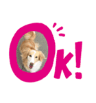 meiんちスタンプ（個別スタンプ：5）
