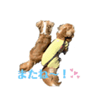 meiんちスタンプ（個別スタンプ：10）