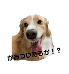 meiんちスタンプ（個別スタンプ：22）
