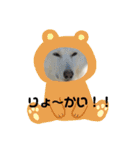 meiんちスタンプ（個別スタンプ：23）