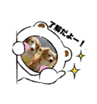 meiんちスタンプ（個別スタンプ：24）
