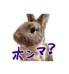 第2弾 関西弁～うさぎの国のおチョコ様～（個別スタンプ：10）