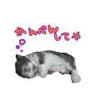 第2弾 関西弁～うさぎの国のおチョコ様～（個別スタンプ：12）