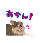 第2弾 関西弁～うさぎの国のおチョコ様～（個別スタンプ：16）