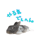 第2弾 関西弁～うさぎの国のおチョコ様～（個別スタンプ：21）