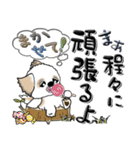 シーズー犬『何となく』44（個別スタンプ：28）