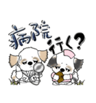 シーズー犬『何となく』44（個別スタンプ：36）