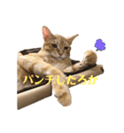松風だらけ①（個別スタンプ：3）