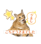 松風だらけ①（個別スタンプ：21）
