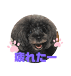 ふわふわ  オスマシ♡お姫様（個別スタンプ：1）