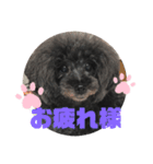 ふわふわ  オスマシ♡お姫様（個別スタンプ：2）