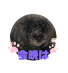 ふわふわ  オスマシ♡お姫様（個別スタンプ：3）