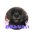 ふわふわ  オスマシ♡お姫様（個別スタンプ：4）
