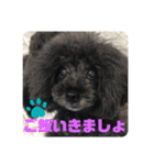 ふわふわ  オスマシ♡お姫様（個別スタンプ：5）