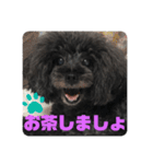 ふわふわ  オスマシ♡お姫様（個別スタンプ：6）