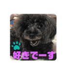 ふわふわ  オスマシ♡お姫様（個別スタンプ：7）