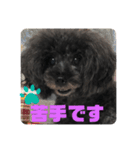ふわふわ  オスマシ♡お姫様（個別スタンプ：8）