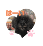 ふわふわ  オスマシ♡お姫様（個別スタンプ：9）