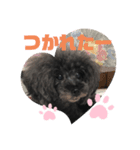 ふわふわ  オスマシ♡お姫様（個別スタンプ：12）