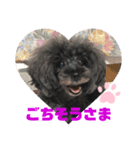 ふわふわ  オスマシ♡お姫様（個別スタンプ：13）
