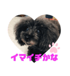 ふわふわ  オスマシ♡お姫様（個別スタンプ：16）