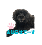 ふわふわ  オスマシ♡お姫様（個別スタンプ：18）