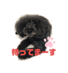 ふわふわ  オスマシ♡お姫様（個別スタンプ：24）