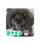 ふわふわ  オスマシ♡お姫様（個別スタンプ：27）