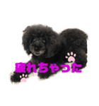 ふわふわ  オスマシ♡お姫様（個別スタンプ：29）