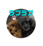 ふわふわ  オスマシ♡お姫様（個別スタンプ：35）