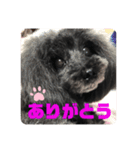 ふわふわ  オスマシ♡お姫様（個別スタンプ：37）