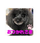 ふわふわ  オスマシ♡お姫様（個別スタンプ：38）